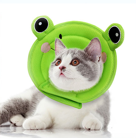 Cat Products